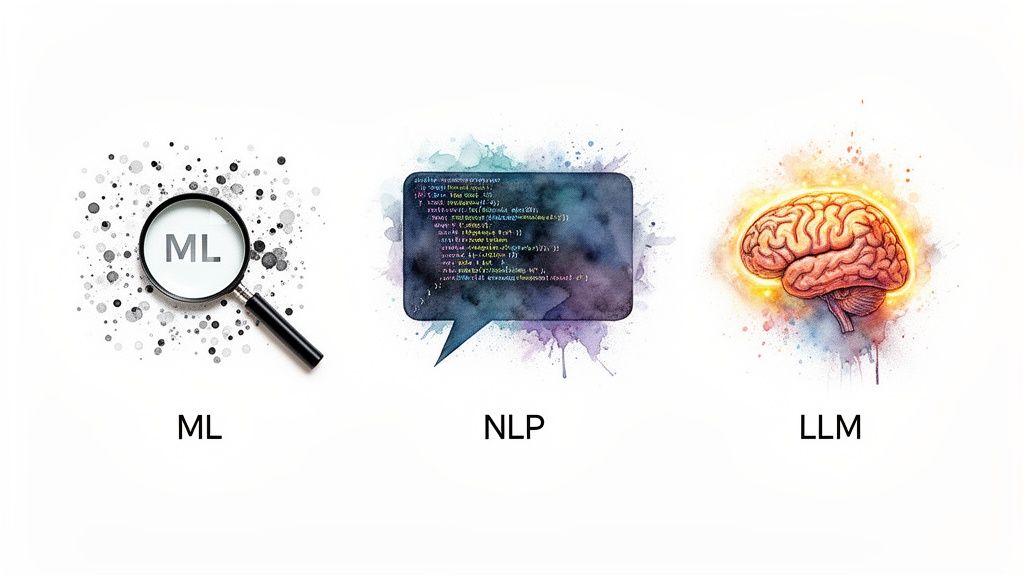 Visual representation of ML, NLP, and LLM concepts: magnifying glass, code speech bubble, and a glowing brain.